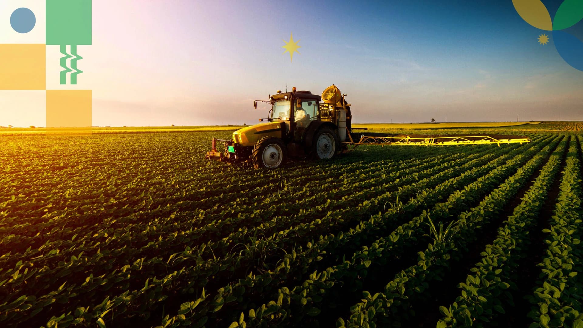 Colheitadeira verde no campo
